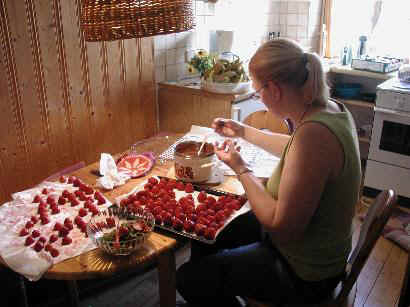 086-Erdbeeren-Schokomantel.jpg (37976 Byte)